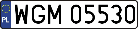 WGM05530