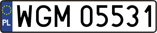 WGM05531