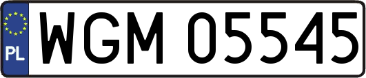 WGM05545