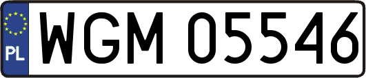 WGM05546