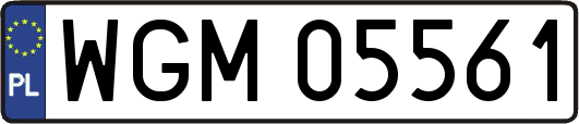 WGM05561
