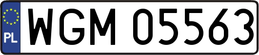 WGM05563