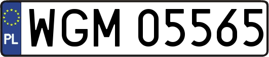 WGM05565