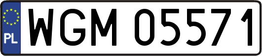 WGM05571