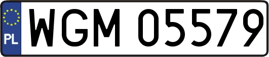 WGM05579