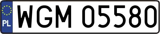 WGM05580