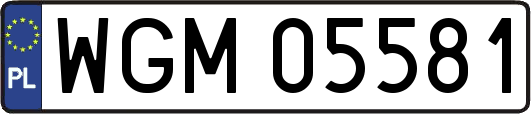 WGM05581