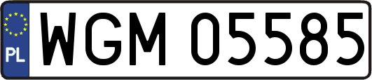 WGM05585