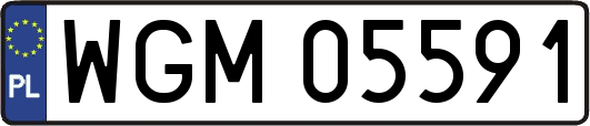 WGM05591