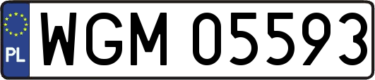 WGM05593