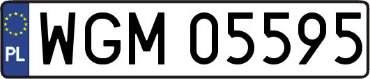 WGM05595