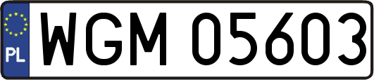 WGM05603