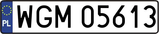 WGM05613