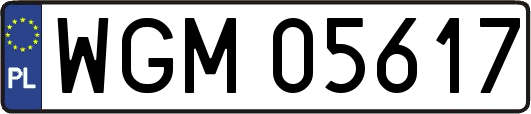 WGM05617