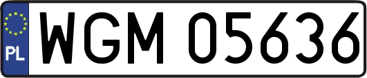 WGM05636