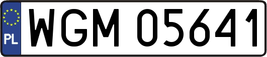 WGM05641