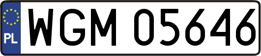 WGM05646