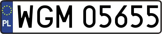 WGM05655