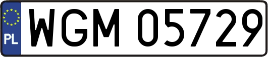 WGM05729