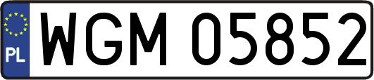 WGM05852