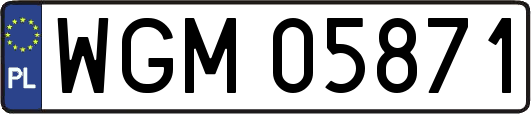 WGM05871