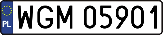 WGM05901