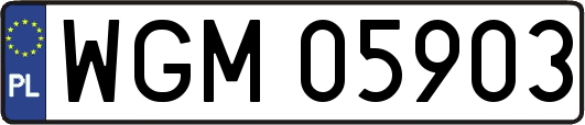 WGM05903