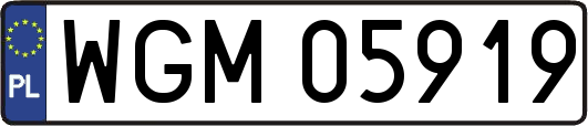 WGM05919