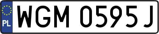 WGM0595J