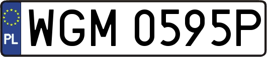 WGM0595P