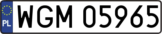 WGM05965