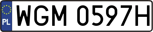 WGM0597H