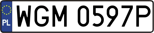 WGM0597P