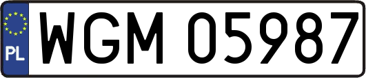 WGM05987