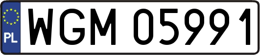 WGM05991