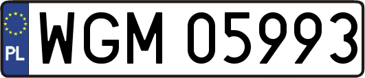 WGM05993