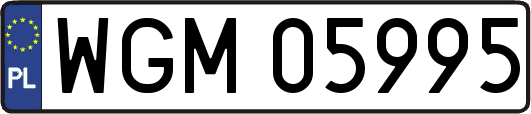 WGM05995