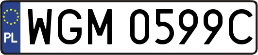 WGM0599C