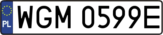 WGM0599E