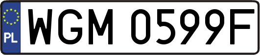 WGM0599F