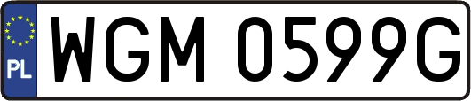 WGM0599G