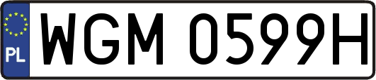 WGM0599H