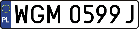 WGM0599J