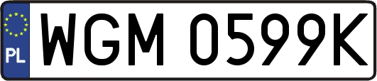 WGM0599K