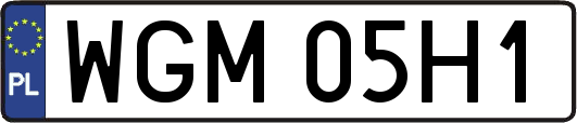 WGM05H1