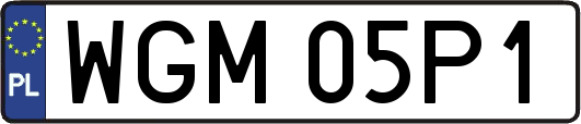 WGM05P1