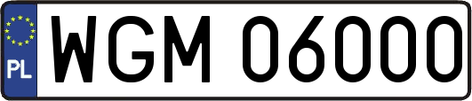 WGM06000