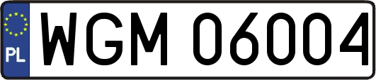 WGM06004