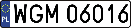 WGM06016