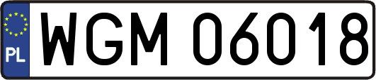 WGM06018